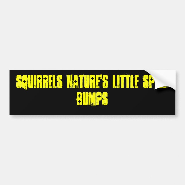 Squirrels Nature's Little Speed Bumps Bumper Sticker | Zazzle