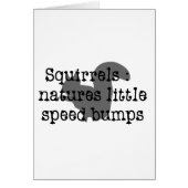 Squirrels : Natures Little Speedbumps (Front)