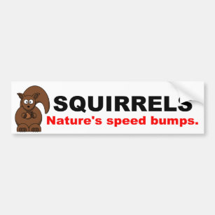SQUIRRELS NATURES LITTLE SPEED BUMPS WVBP-00018 10" X 3" BUMPER STICKER 