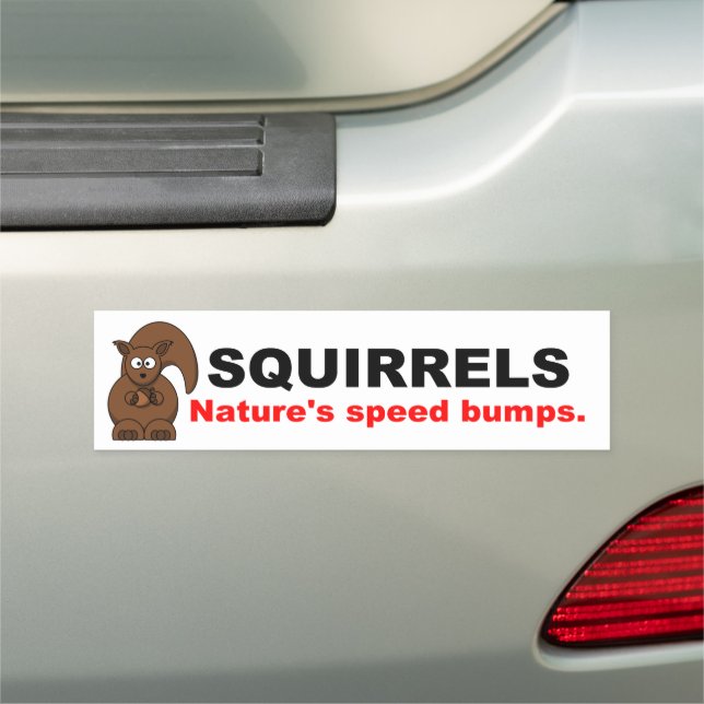 Squirrels Nature's Speed Bumps Car Magnet (In Situ)