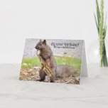 Squirrels Night Out Birthday Card<br><div class="desc">A fun birthday card for your gal pals!  Birthdays with friends mean it's time for a "Squirrels Night Out" !  :)</div>