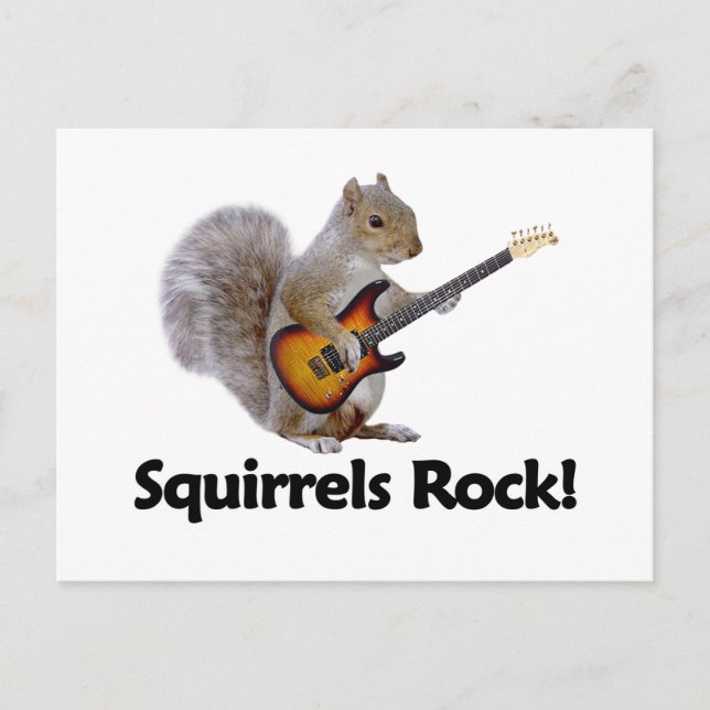 Squirrels Rock! Postcard (Front)