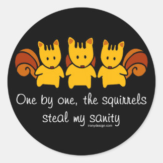 Squirrels steal my sanity classic round sticker