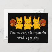Squirrels steal my sanity postcard (Front/Back)