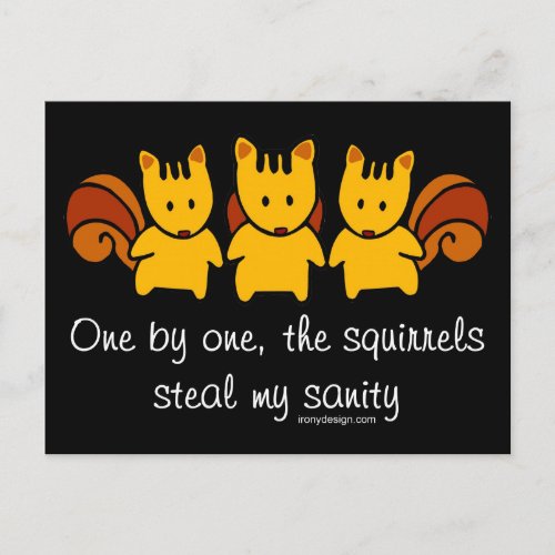 Squirrels steal my sanity postcard