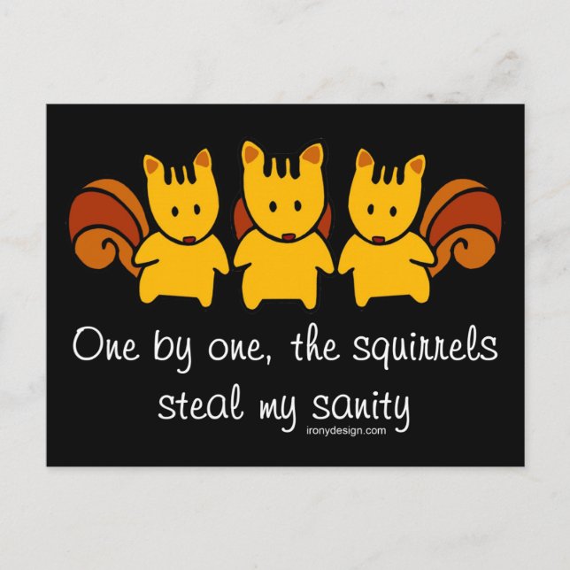 Squirrels steal my sanity postcard (Front)