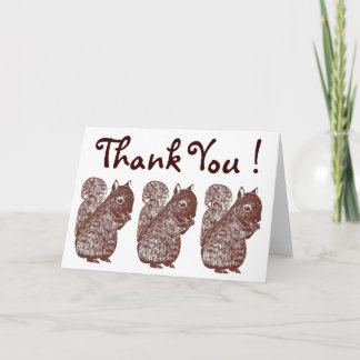 Squirrels Thank You Greeting Card