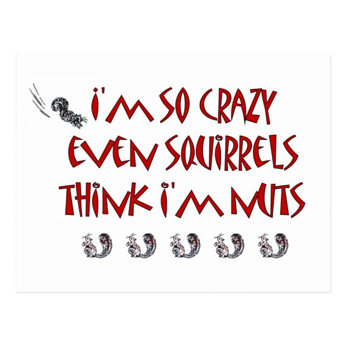 Squirrels Think I Am Crazy Postcard