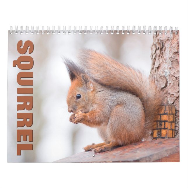 Squirrels Wall Calendar (Cover)
