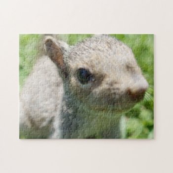 Squirrely Squirrel  11x14 Photo Puzzle W/ Gift Box by StormythoughtsGifts at Zazzle