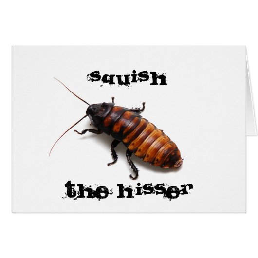 Squish the Hisser Cards (Front Horizontal)