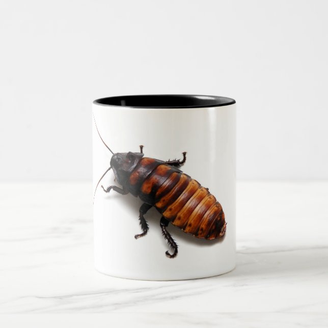 Squish the Hisser Two-Tone Coffee Mug (Center)