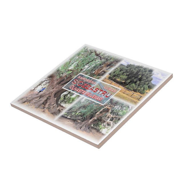 SRD006 LURAS, Millennial Olive Tree, Ceramic Tile (Side)