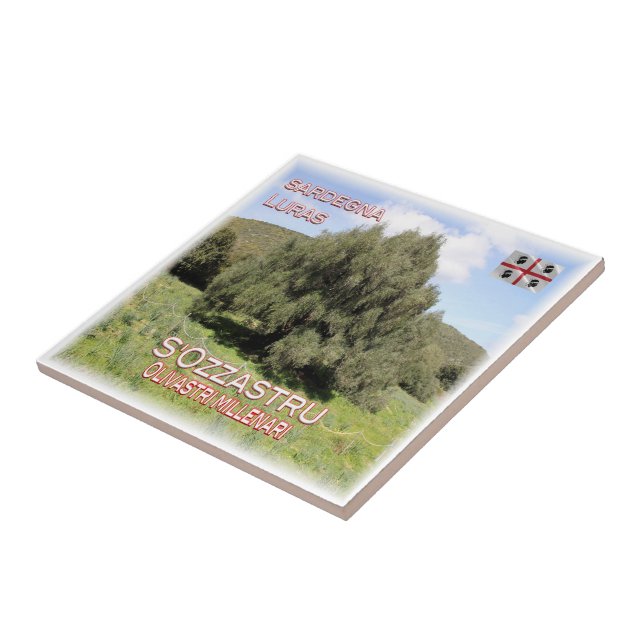 SRD007 LURAS Millennial Olive Trees, Ceramic Tile (Side)