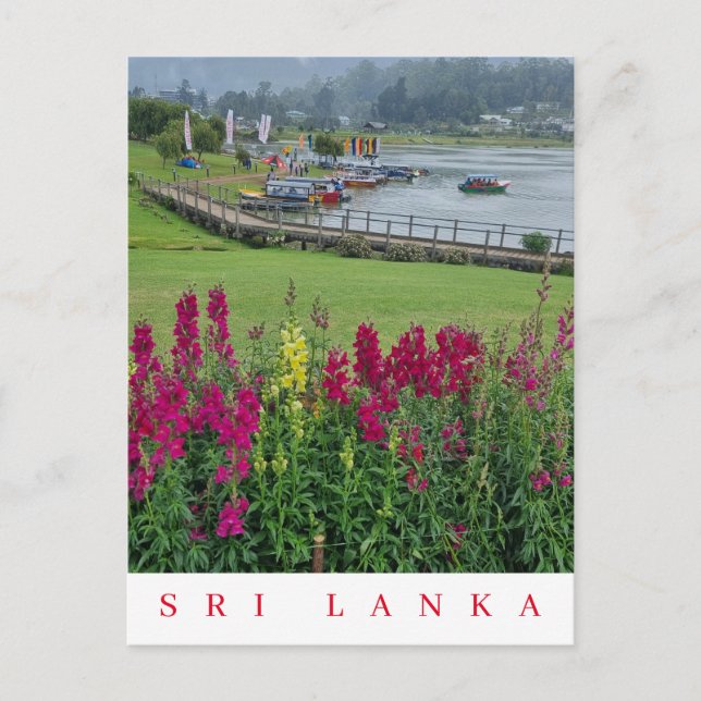 Sri Lanka Lake Gregory view postcard (Front)