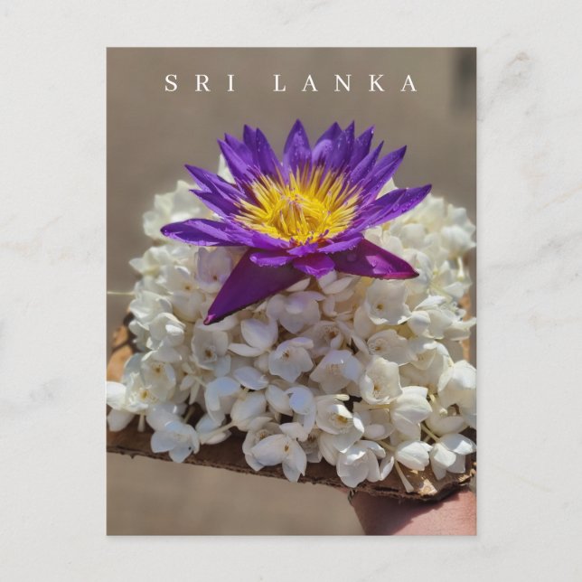 Sri Lanka temple flower offering postcard (Front)