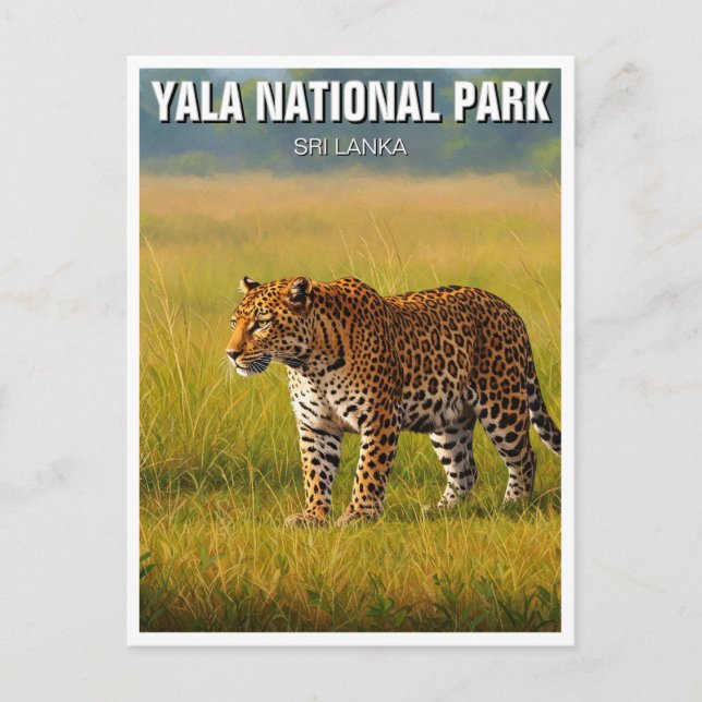 Sri Lanka Yala National Park Travel Postcard (Front)