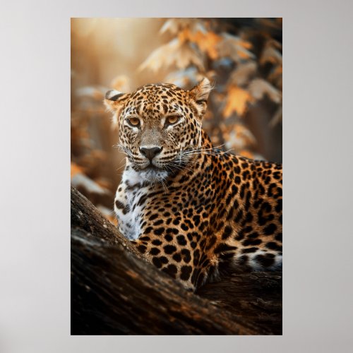 Sri Lankan Leopard Poster