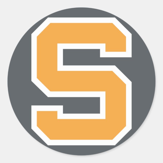 SSK 2016 Round Gray Background Classic Round Sticker (Front)