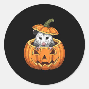 Ssum Pumpkin - Funny Halloween  Classic Round Sticker