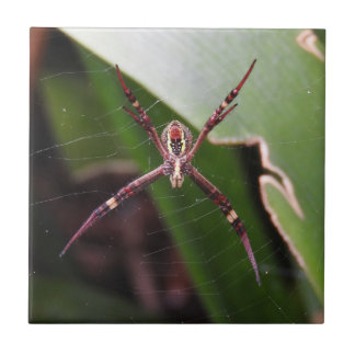 St Andrew's Cross Spider Tile