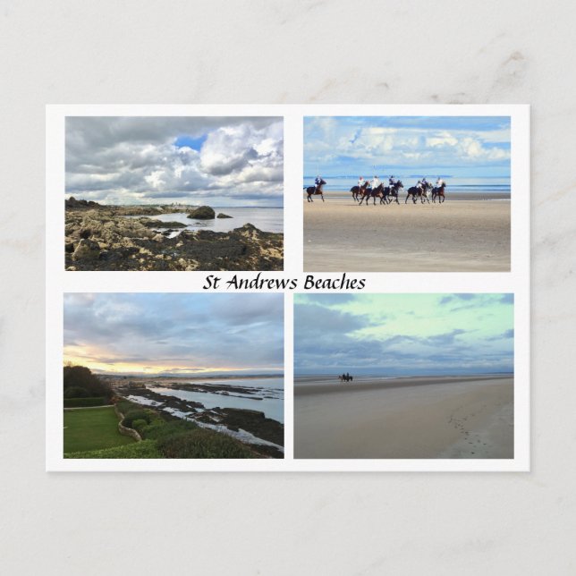 St Andrews Scotland Beaches, West Sands, Horses Postcard (Front)