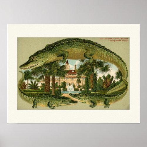 St Augustine Alligator Small Print