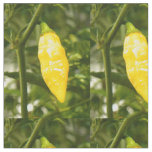 ST. AUGUSTINE DATIL PEPPER FABRIC