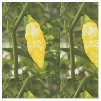St. Augustine Datil Pepper Fabric by Pattyshop at Zazzle