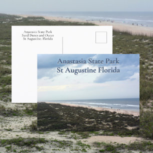 St Augustine FL Anastasia State Park Photographic Postcard