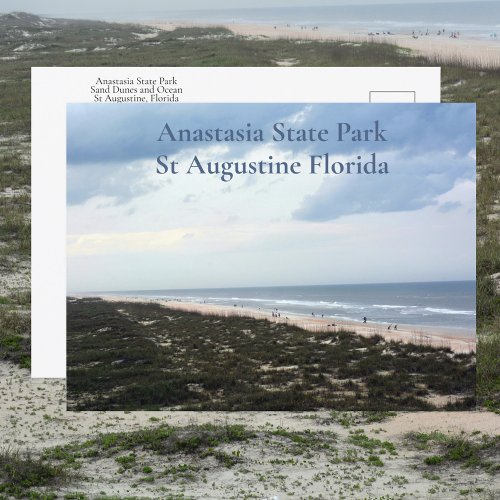 St Augustine FL Anastasia State Park Photographic Postcard