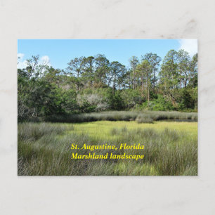St. Augustine, Florida marshland Holiday Postcard