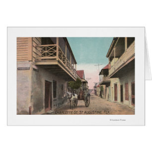 St. Augustine, Florida - View of Charlotte St