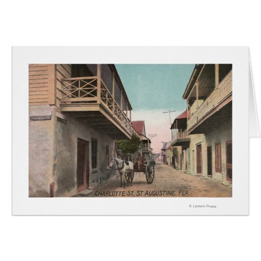 St. Augustine, Florida - View of Charlotte St Cards (Front Horizontal)