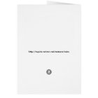 St Augustine Lighthouse and Flages