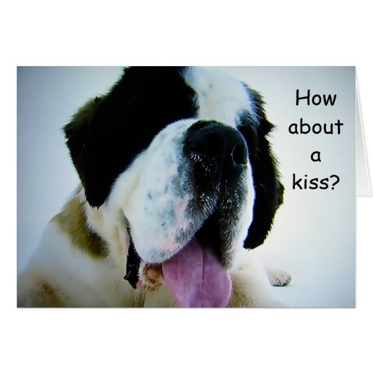 ST. BERNARD ASKS "HOW ABOUT A KISS" (ROMATIC PUP) CARDS (Front Horizontal)