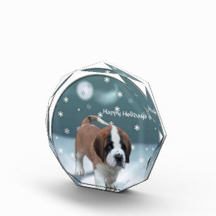 St Bernard Christmas Award