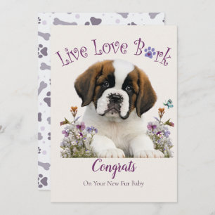 St. Bernard Dog Adoption, Gotcha Day Card