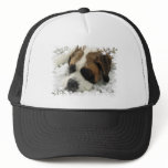 St Bernard Dog Baseball Hat