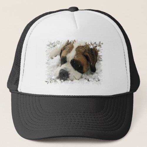 St Bernard Dog Baseball Hat