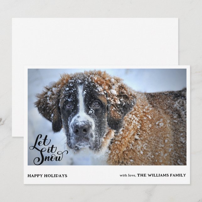 St. Bernard Dog Covered With Snow Photo Christmas Holiday Card (Front/Back)