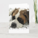 St Bernard Dog Greeting Card