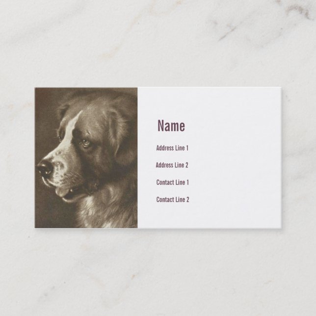 St. Bernard Dog Illustration Business Card (Front)