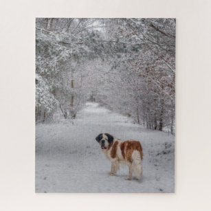  1000 Piece Puzzle Purebred St Bernard Dog Indoor