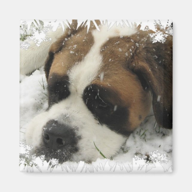 St Bernard Dog Magnet (Front)