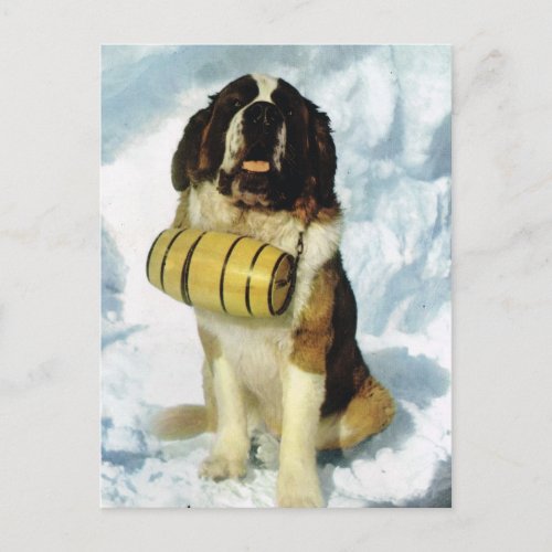 St Bernard dog Mountain Rescue Postcard