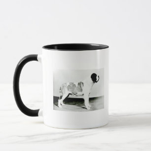 St. Bernard Dog Mug