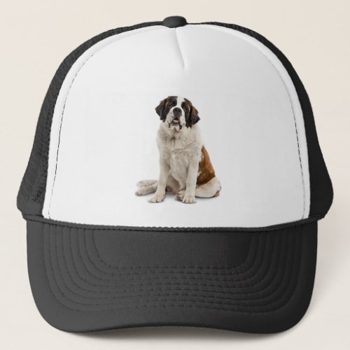 St Bernard Dog Pet Animal Custom Trucker Hat