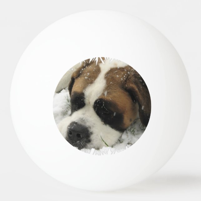 St Bernard Dog Ping-Pong Ball (Front)