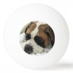 St Bernard Dog Ping-Pong Ball